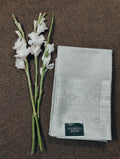 Tissue Silk Saree 01