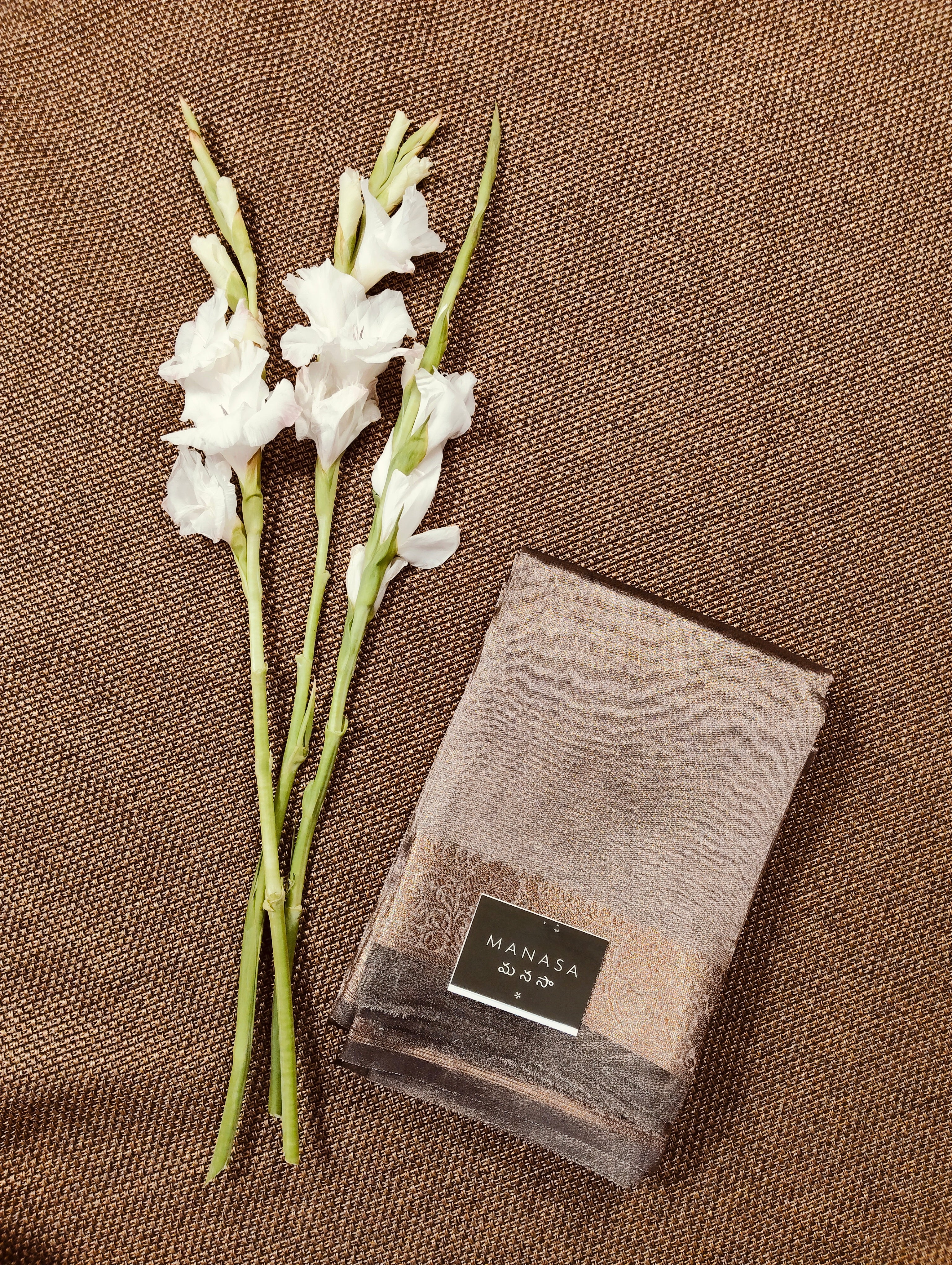 Tissue Silk Saree 02