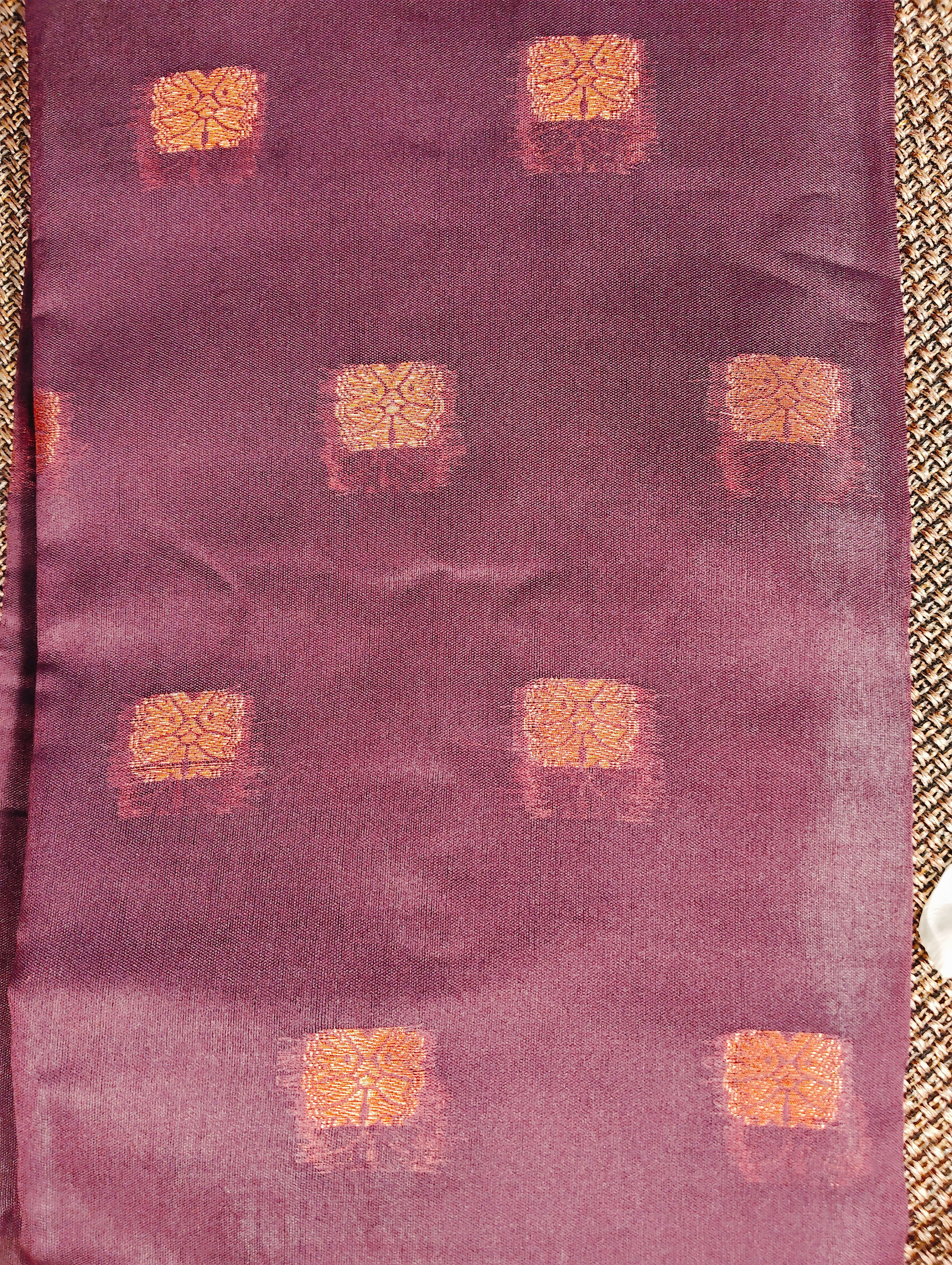 Semi Kanchi Saree 03